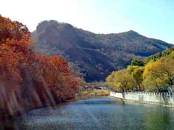 澳门精准正版免费大全14年新，海纳八宝植物润黑露